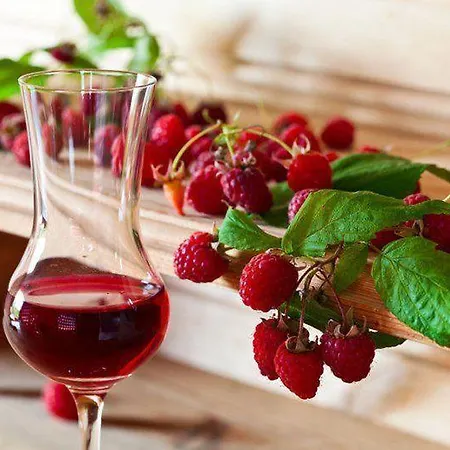 Malinovy Sen 3* Habovka