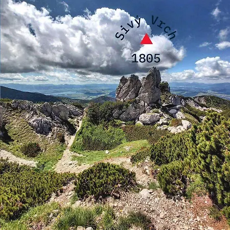 Malinovy Sen 3* Habovka