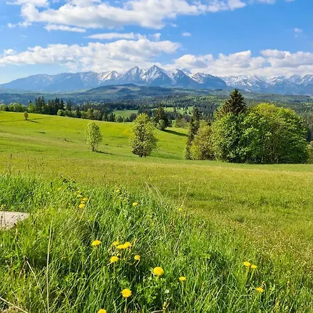 Malinovy Sen 住宿加早餐酒店 3*