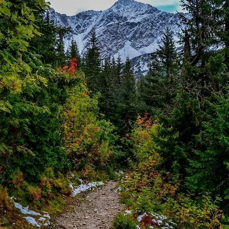 Malinovy Sen 住宿加早餐酒店