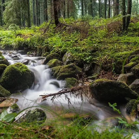 Bed & Breakfast Malinovy Sen