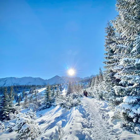 Malinovy Sen Habovka