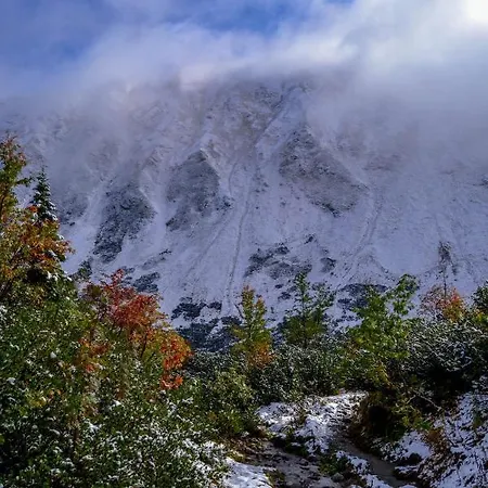 Malinovy Sen 3* Habovka