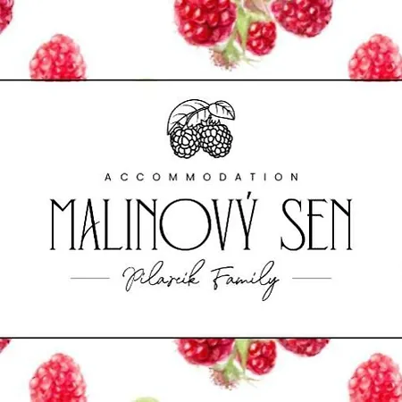 Bed & Breakfast Malinovy Sen