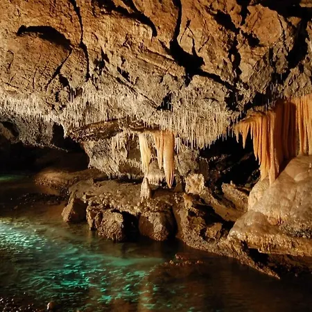 Bed & Breakfast Malinovy Sen 3*