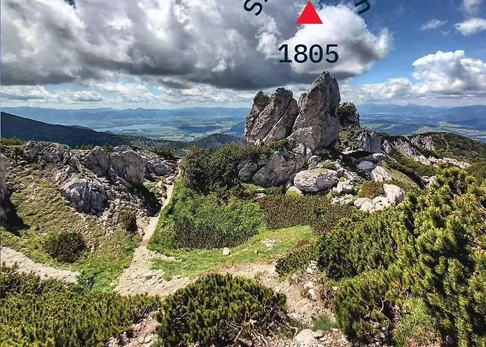 Malinovy Sen 3* Habovka