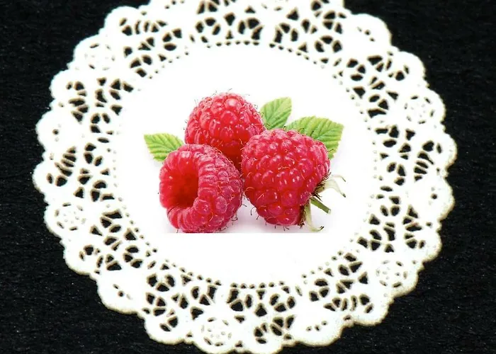 Bed & Breakfast Malinovy Sen Habovka