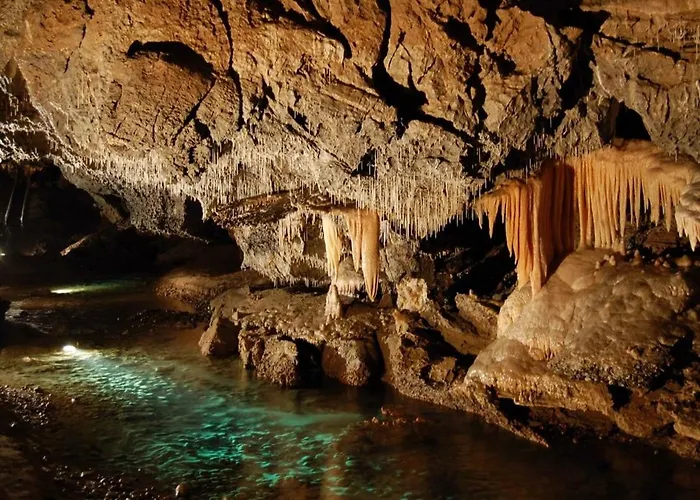 Bed & Breakfast Malinovy Sen 3*